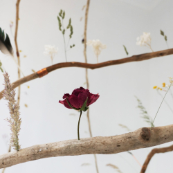 The Smallest Gallery in Soho presents ‘Gowns’