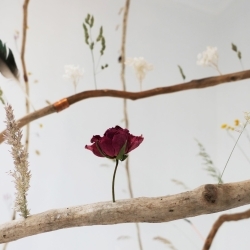 The Smallest Gallery in Soho presents ‘Gowns’